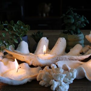 SandWax 300g / 500ml